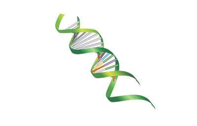DNA-helix