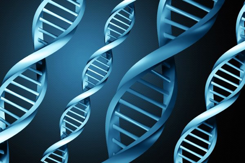 هک اطلاعات با کمک DNA
