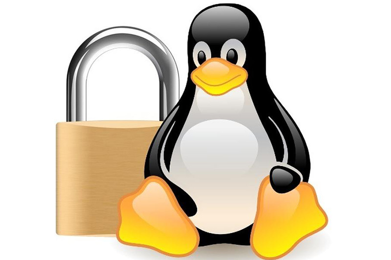 عرضه به‌روزرسانی امنیتی جدید برای لینوکس